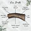 Antler - 003 Antler