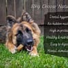 Why Choose Natural - Landscape 001w Puffed Chicken Feet