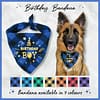 Birthday Bandana - 001 Birthday Bandana