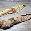 Rabbit Ear - Both 001 Rabbits Ear (Mixed)