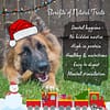 12 Treats of Christmas Box - 011 12 Treats of Christmas Box