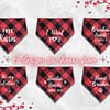 Valentine's Bandana - 002 Valentine's Day Bandana