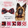 Valentine's Bow Tie - 001 Valentine's Bow Tie