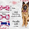Valentine's Bow Tie - 003 Valentine's Bow Tie