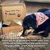 xr:d:DAFNhle8oTI:9,j:36548233381,t:22092815 Gotcha Day Treat Box