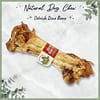Ostrich Dino Bone - 001 Ostrich Dino Bone