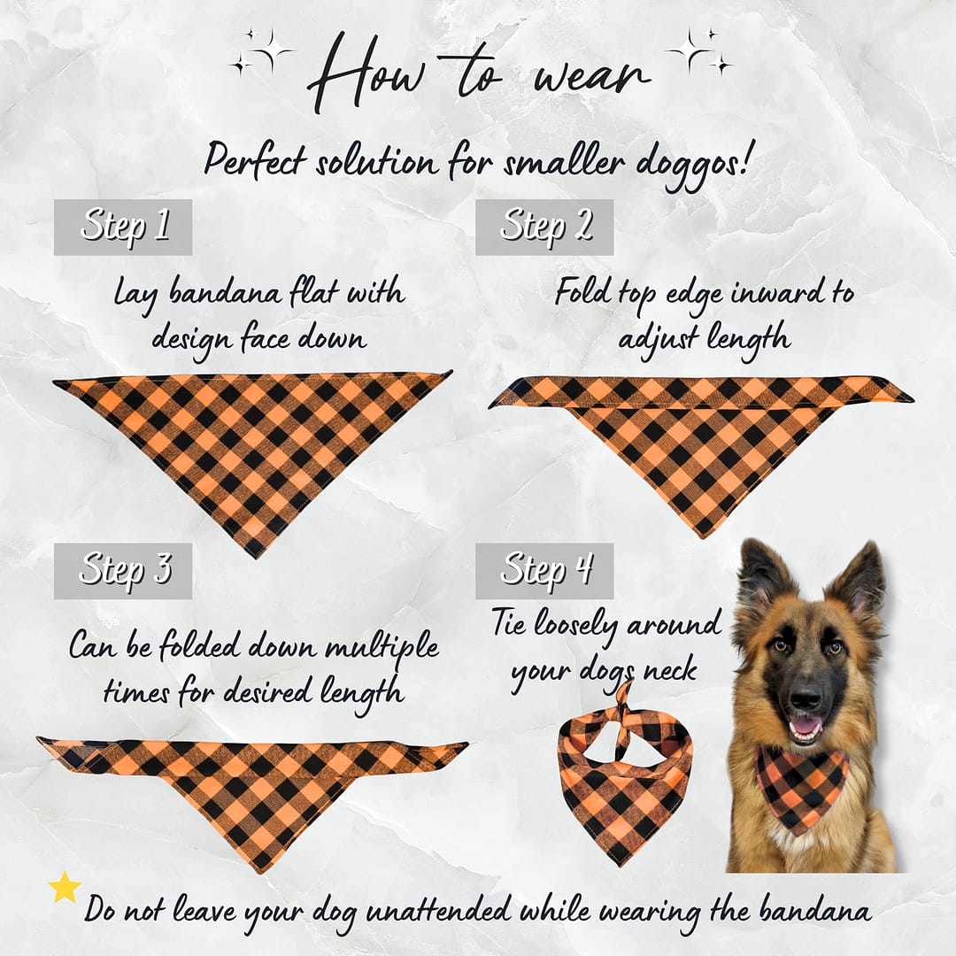 Bandana - How To Wear Personalised Dog Bandana