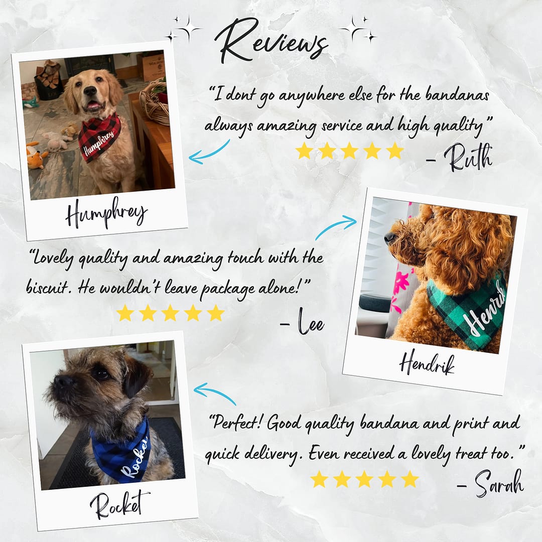 Personalised Bandana Name Up Side - 004 Personalised Dog Bandana