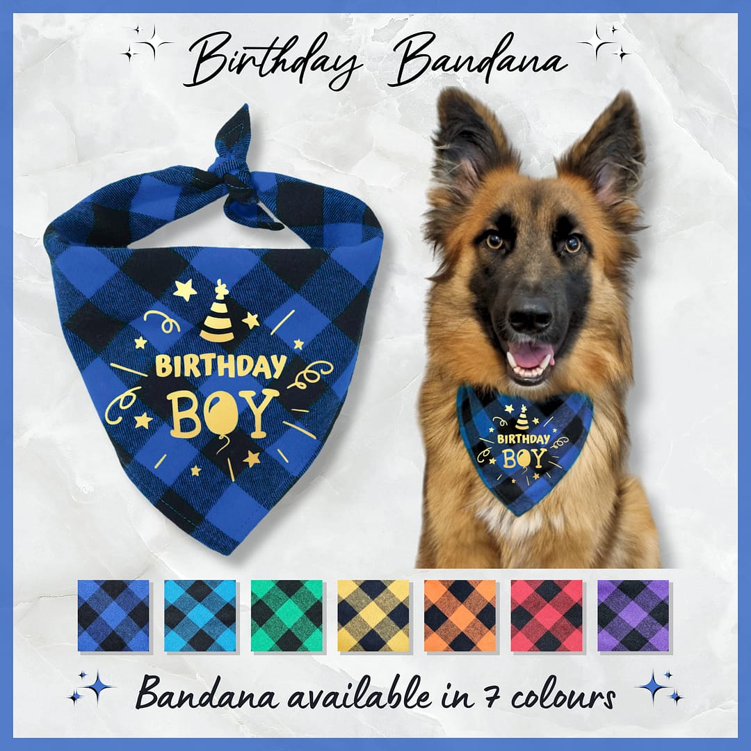Birthday Bandana - 001 Birthday Bandana