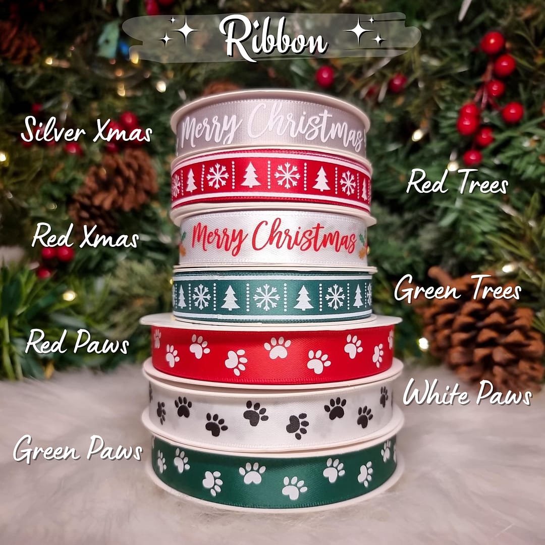 12 Treats of Christmas Box - 005 The Ultimate Christmas Box