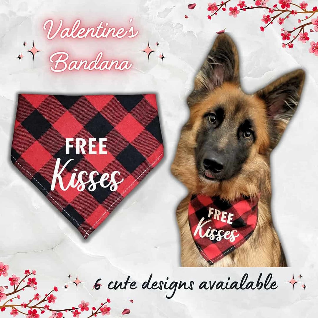 Valentine's Bandana - 001 Valentine's Day Bandana