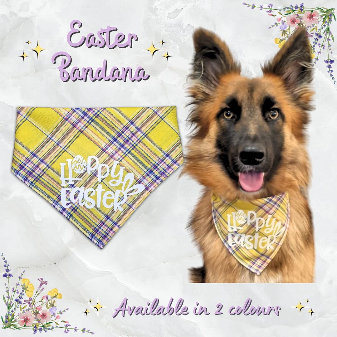 Easter Bandana - 001 Easter Bandana