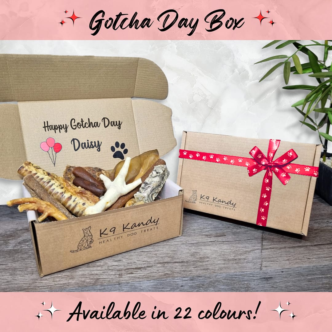 Gotcha Day Box - 001 ALT1 Gotcha Day Treat Box