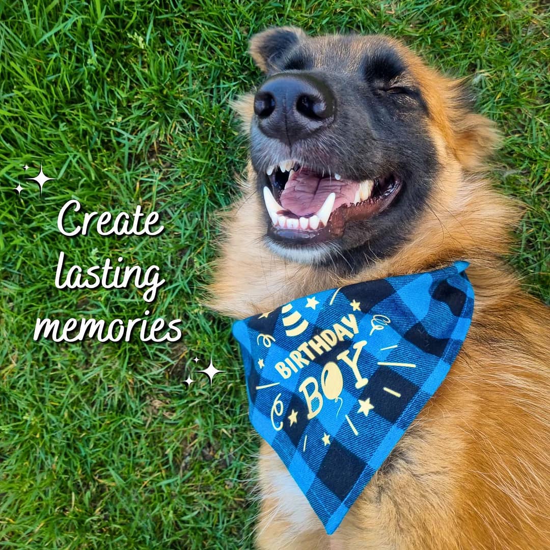 Create lasting memories - 1 Birthday Bandana