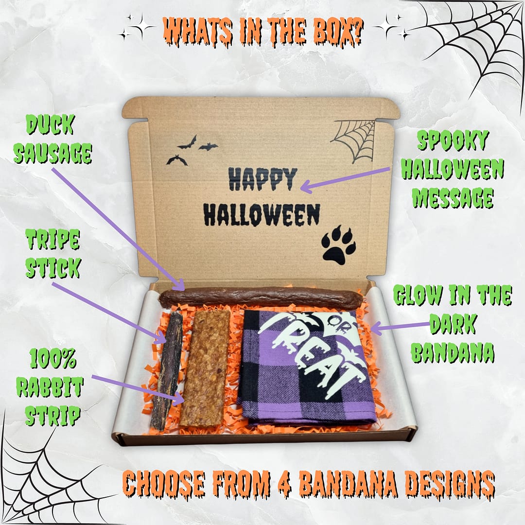 Halloween Letter Box - 002 Halloween Treat Box