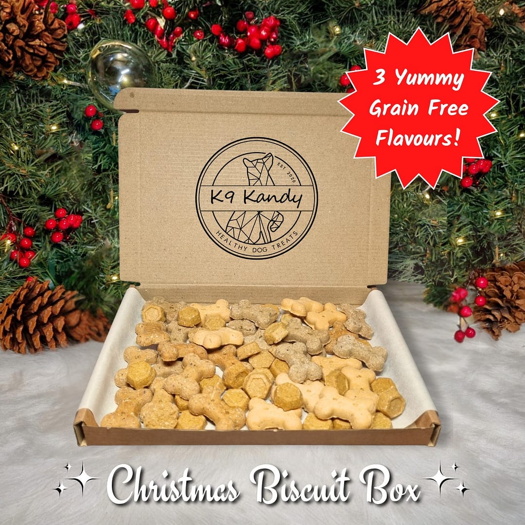ChristmasBiscuitBox-00 Dog Christmas Biscuit Box