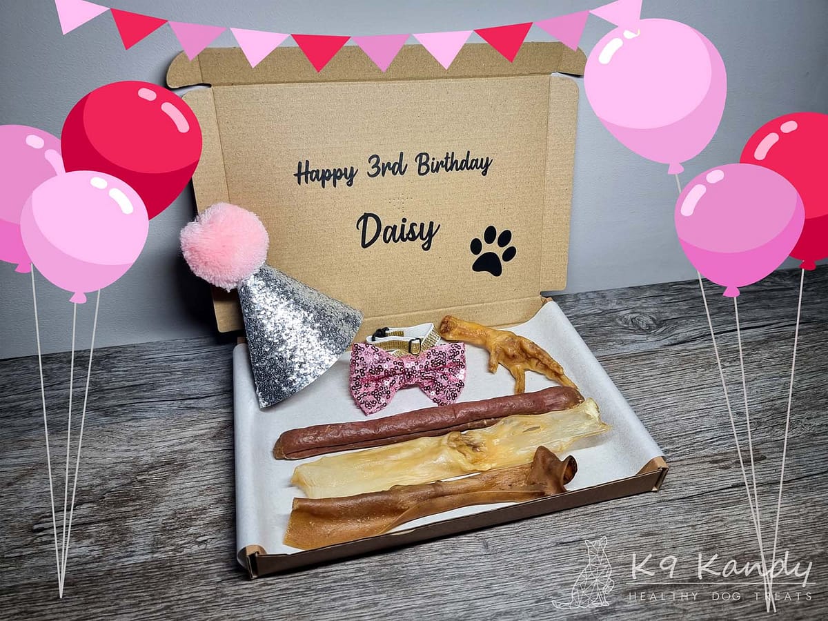 Bday Letterbox - Pawty Time 001 Pawty Time Birthday Box