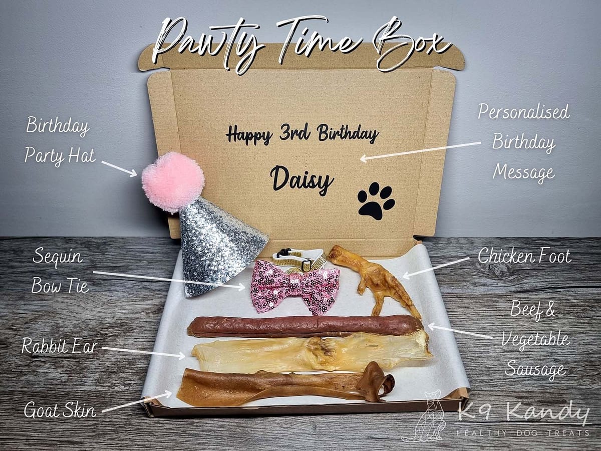 Pawty Time Box Pawty Time Birthday Box