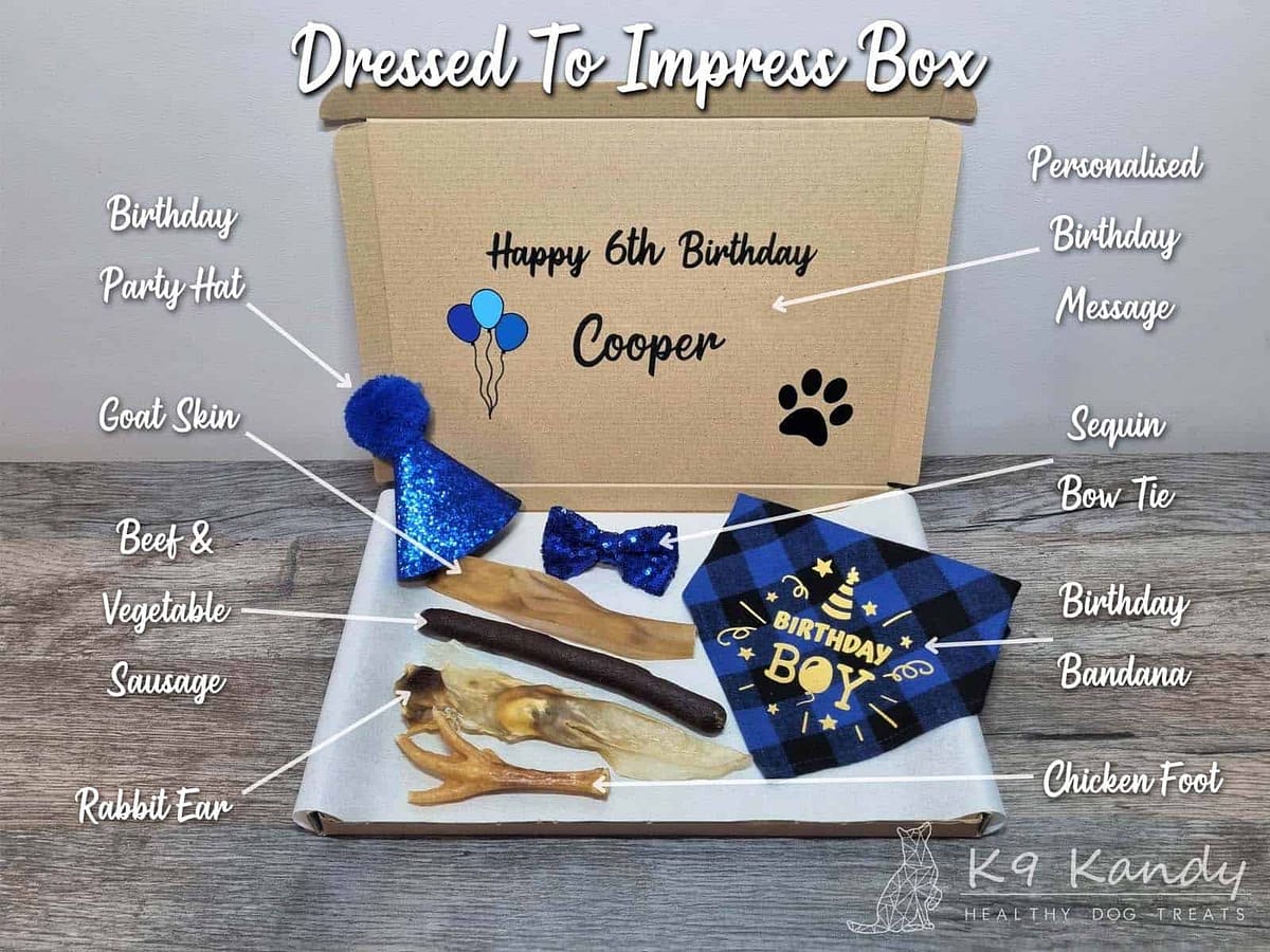 Bday Letterbox - Dressed To Impress 002 Dressed To Impress Birthday Box