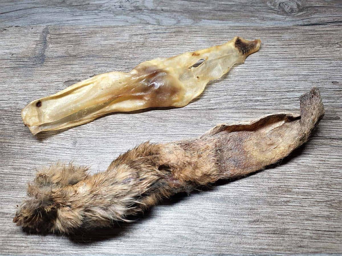 Rabbit Ear - Both 001 Rabbits Ear (Mixed)