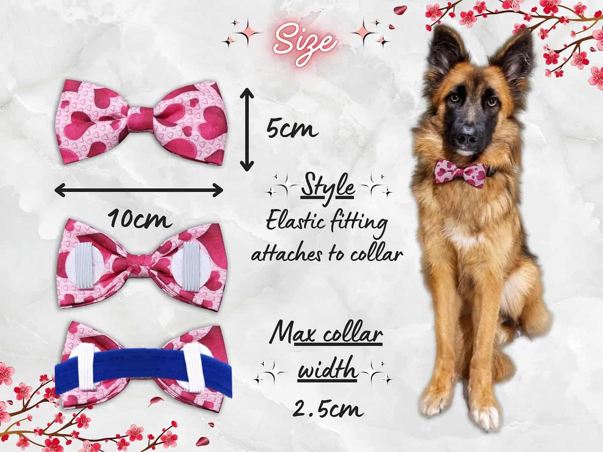 Valentine's Bow Tie - 003 Valentine's Bow Tie