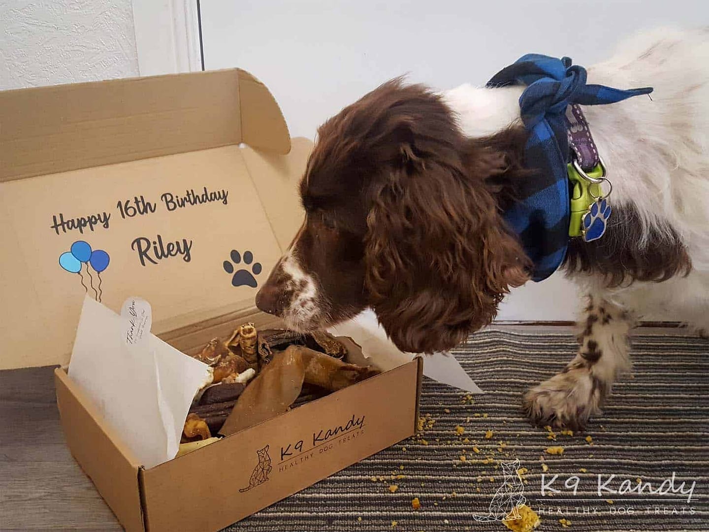 Bday - Riley 16 - 001 W
