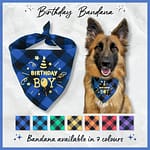 Birthday Bandana