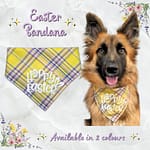 Easter Bandana - 001 Easter Bandana