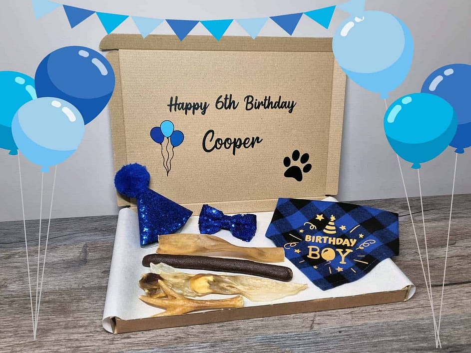 Postman Pooch Birthday Box Dog Care Packages For Dogs Build A Get