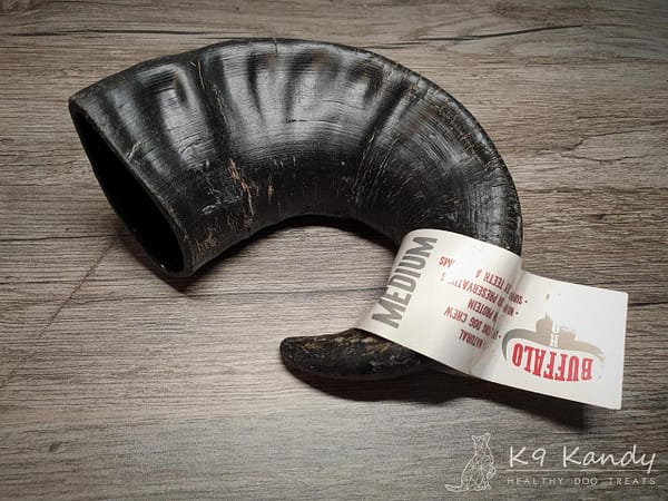 Buffalo Horn - Medium 01 - Watermark Buffalo Horn