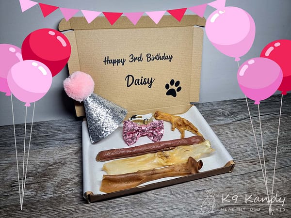Bday Letterbox - Pawty Time 001 Pawty Time Birthday Box