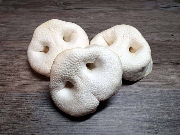 Puffed Pig Snout - 000 Puffed Pig Snout