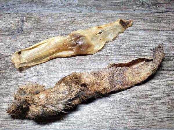 Rabbit Ear - Both 001 Rabbits Ear (Mixed)