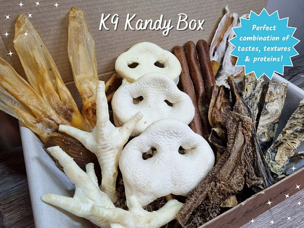 K9 Kandy Box - 1 K9 Kandy Box