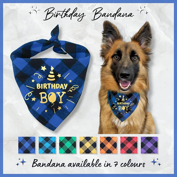 Birthday Bandana - 001 Birthday Bandana