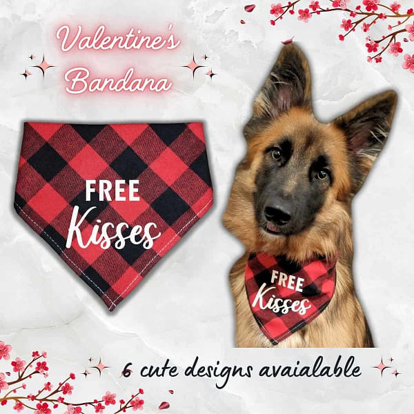 Valentine's Bandana - 001 Valentine's Day Bandana