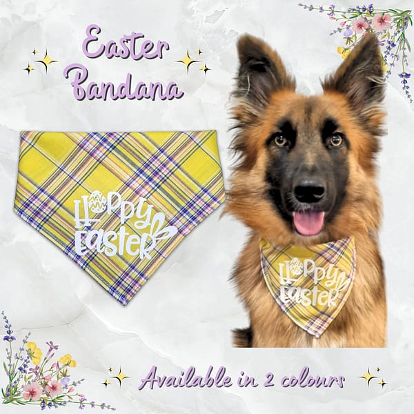 Easter Bandana - 001 Easter Bandana