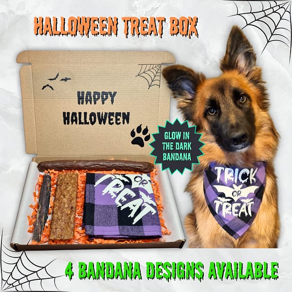 Halloween Letter Box - 001 Halloween Treat Box