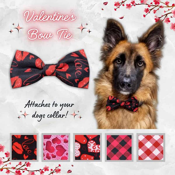Valentine's Bow Tie - 001 Valentine's Bow Tie