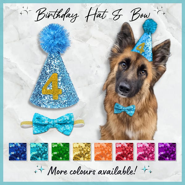 Numbered Birthday Hat & Bow Tie - 001 Numbered Party Hat & Bow Tie