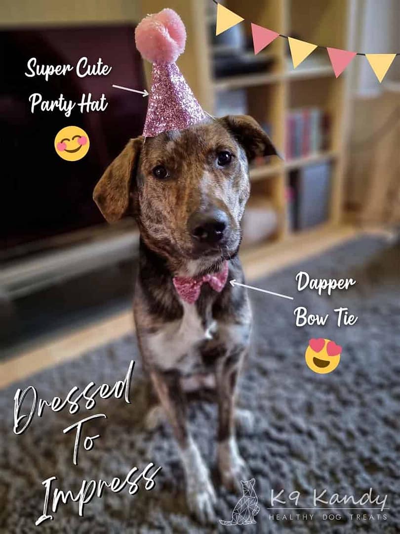 Dressed To Impress Dressed To Impress Birthday Box